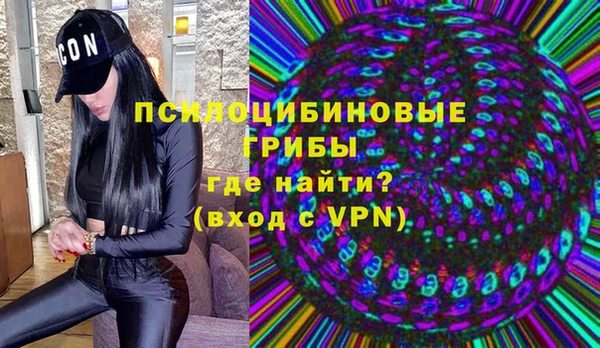 ГАЛЛЮЦИНОГЕННЫЕ ГРИБЫ Абинск