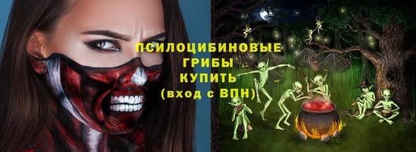 ГАЛЛЮЦИНОГЕННЫЕ ГРИБЫ Абинск