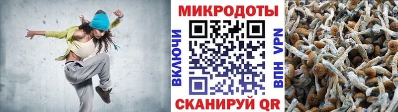Псилоцибиновые грибы GOLDEN TEACHER сколько стоит Новая Усмань